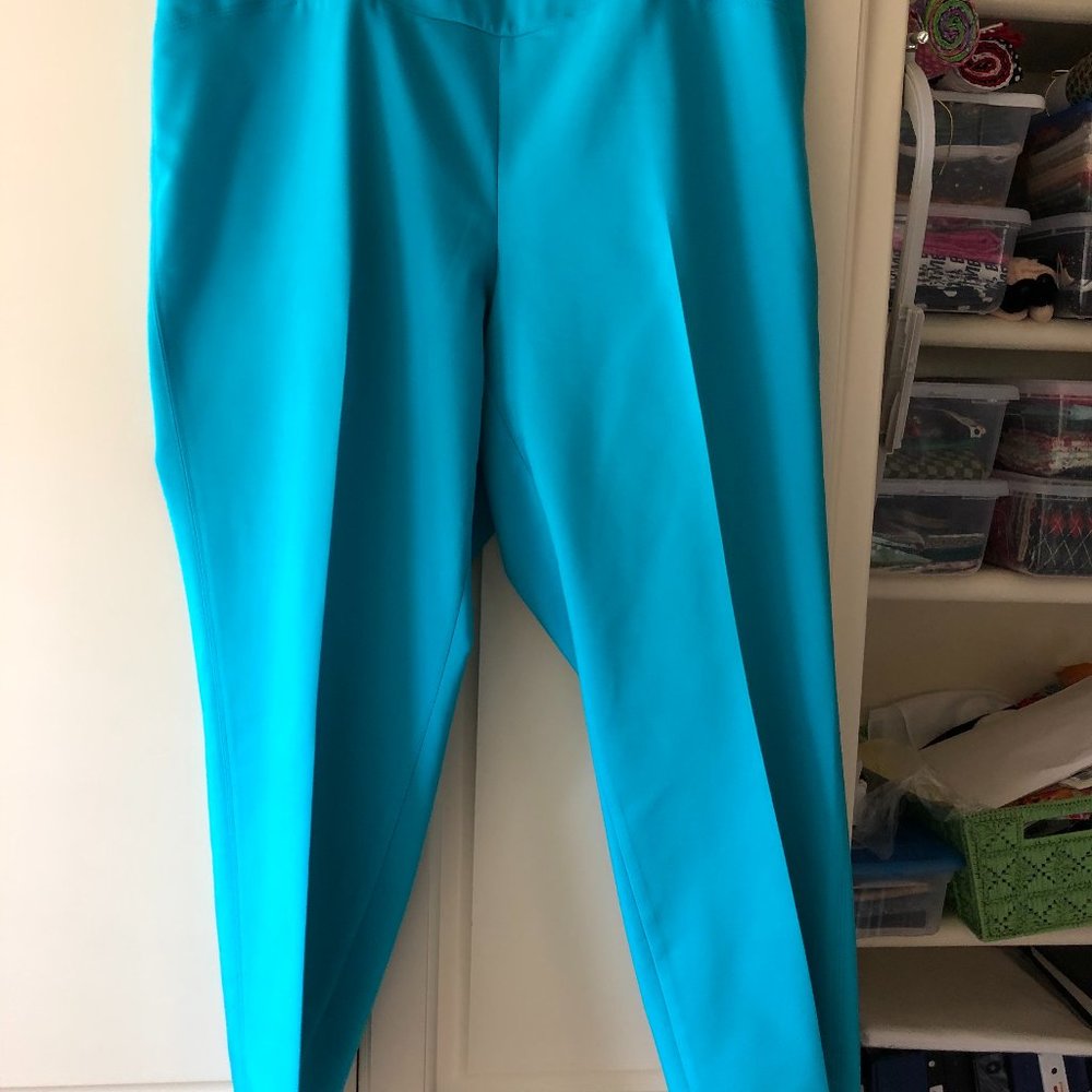 Investments pull on ankle pant